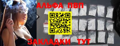 ECSTASY Гай